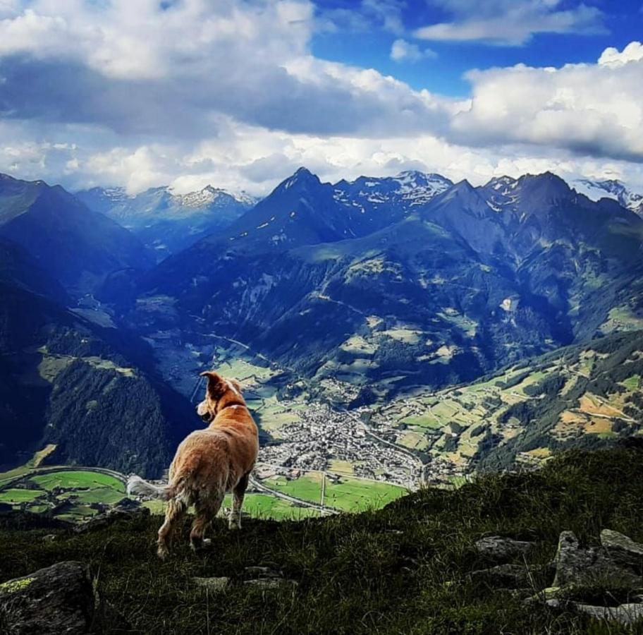 Haus Wibmer Matrei in Osttirol Dış mekan fotoğraf