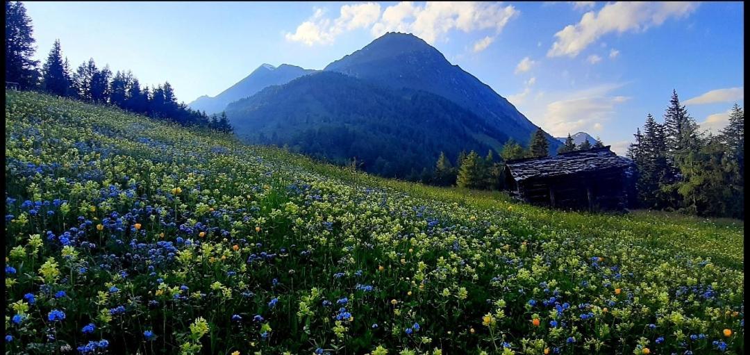 Haus Wibmer Matrei in Osttirol Dış mekan fotoğraf
