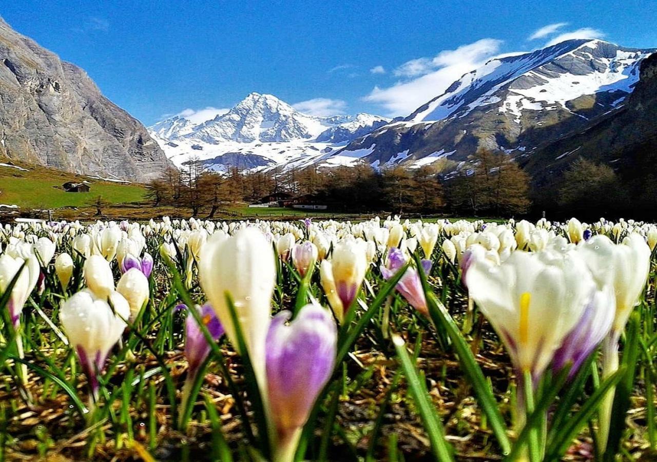 Haus Wibmer Matrei in Osttirol Dış mekan fotoğraf