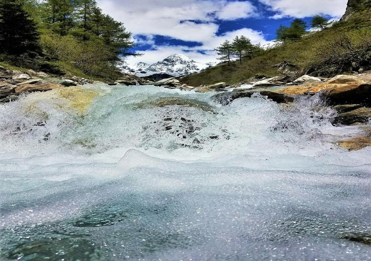 Haus Wibmer Matrei in Osttirol Dış mekan fotoğraf