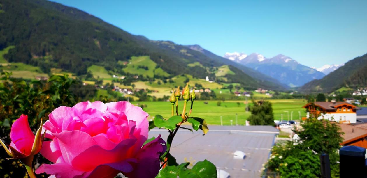 Haus Wibmer Matrei in Osttirol Dış mekan fotoğraf