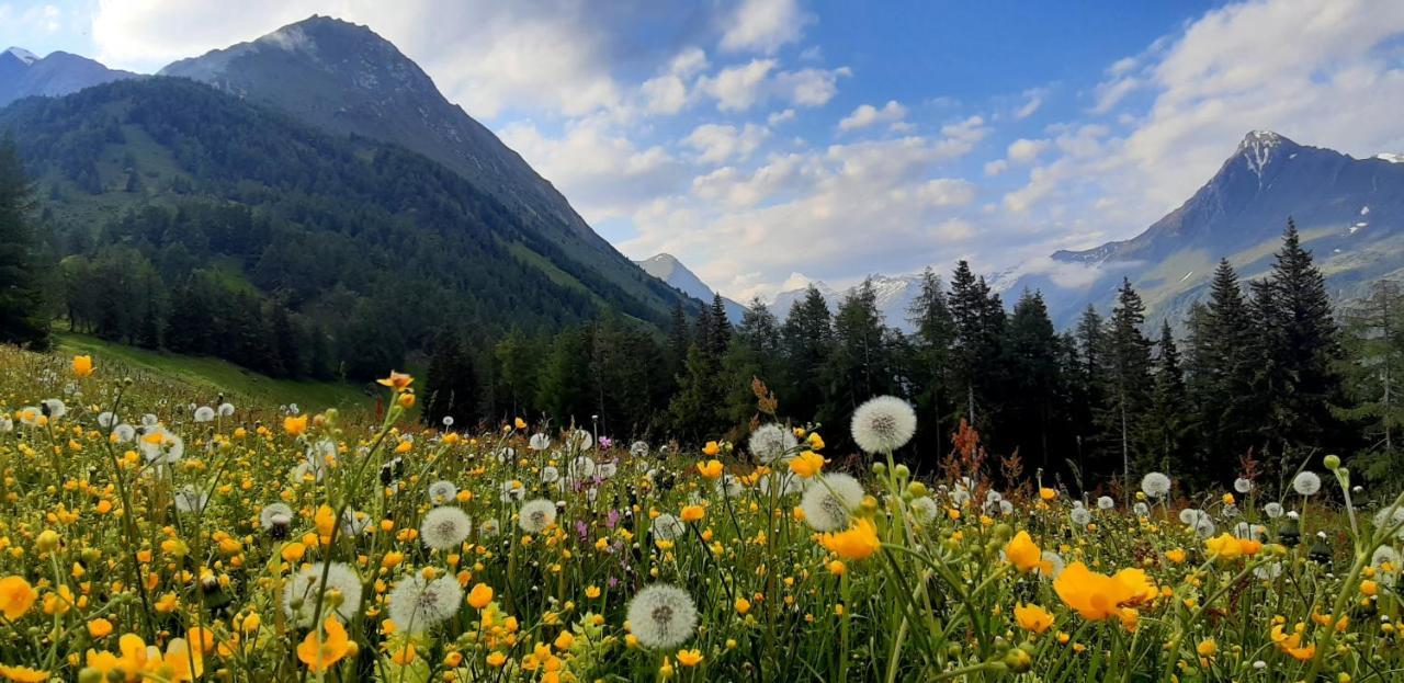 Haus Wibmer Matrei in Osttirol Dış mekan fotoğraf