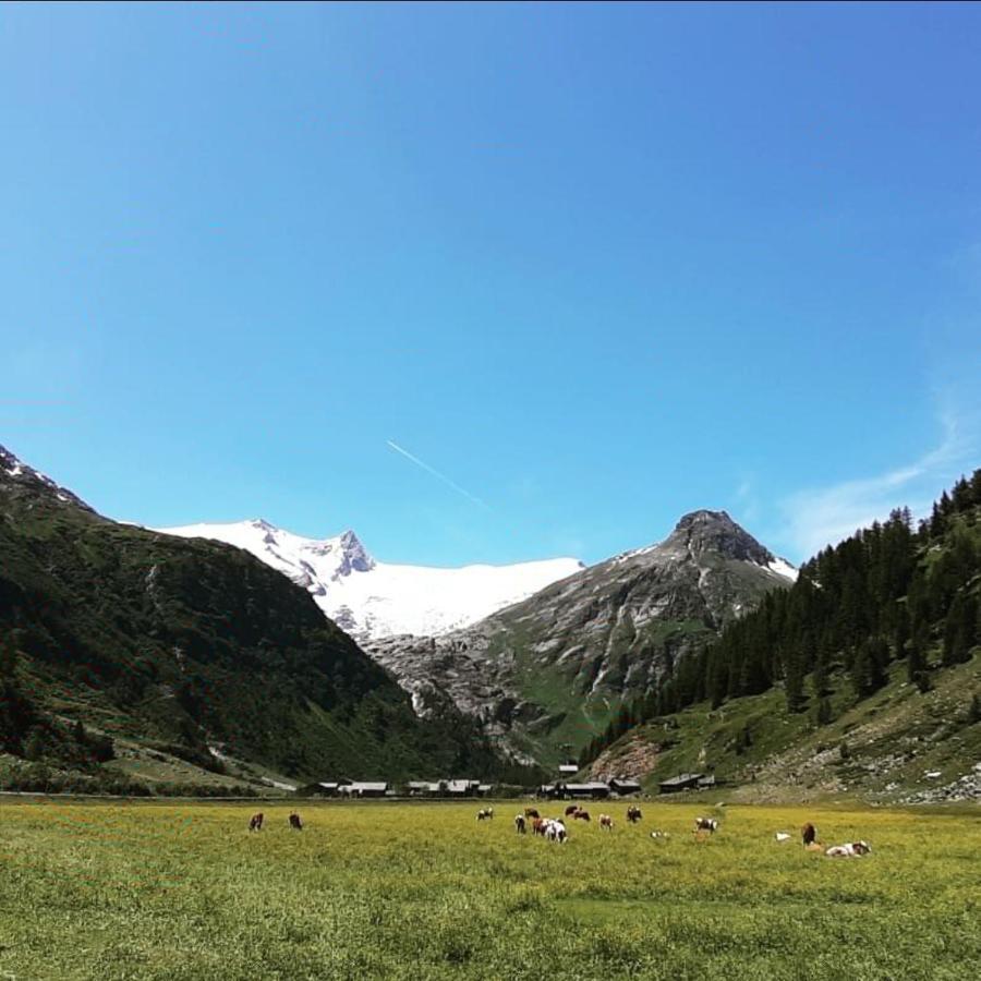 Haus Wibmer Matrei in Osttirol Dış mekan fotoğraf